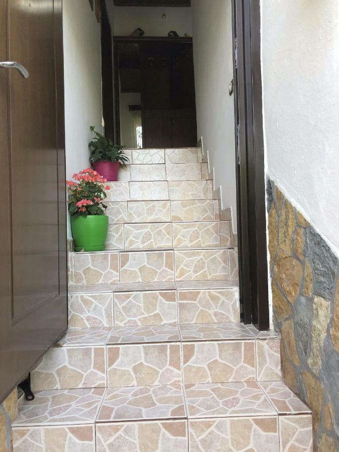 Tomor Shehu Guest House 베라트 외부 사진